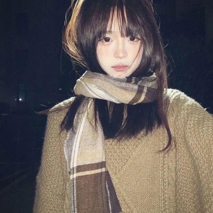 从前有个傻子特工